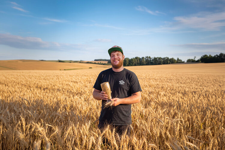 Yates' Brewery Now Brewing with Isle of Wight Grain